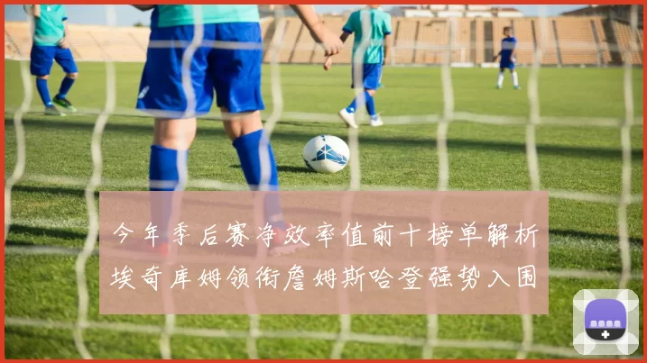 今年季后赛净效率值前十榜单解析埃奇库姆领衔詹姆斯哈登强势入围